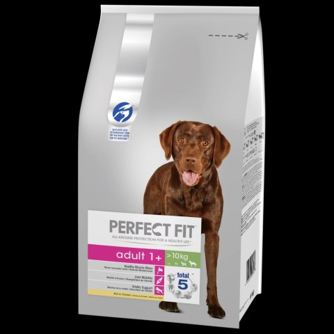Perfect Fit™ - sucha karma pełnoporcjowa dla dorosłych psów średnich i dużych ras, bogata w kurczaka 6kg
