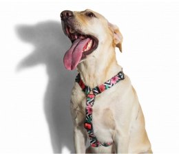 ZEE DOG Szelki Dla Psa Mahalo XS