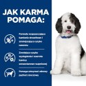 Hill's PD Prescription Diet Canine c/d Urinary Care 1,5kg