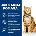 Hill's PD Prescription Diet Feline c/d Multicare 8kg