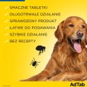 Elanco AdTab 56mg Tabletka Na Pchły I Kleszcze Dla Psów 1,3-2,5kg