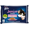 Felix Fantastic Junior W Galaretce Z Kurczakiem I Łososiem 4x85g