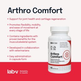 Lab-v Arthro Comfort Kompleksowe Wsparcie Zdrowia Stawów I Układu Ruchu Dla Psów I Kotów 45 Kapsułek