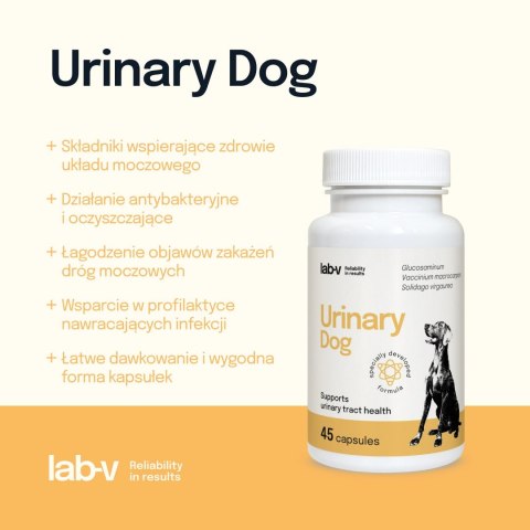 Lab-v Urinary Dog Wsparcie Przy Zakażeniu Dróg Moczowych U Psów 45 Kapsułek