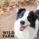 Wild Farm Kanapka Z Kaczką 500g Przysmak Dla Psa