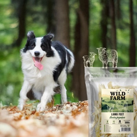 Wild Farm Racice Jagnięce 300g Przysmak Dla Psa