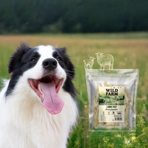 Wild Farm Racice Jagnięce 300g Przysmak Dla Psa