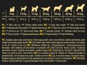 Hektor Karma Mokra Dla Psa Z Drobiem 1240g