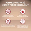 PURINA ONE Mini Active Kurczak, ryż - sucha karma dla psa - 800g