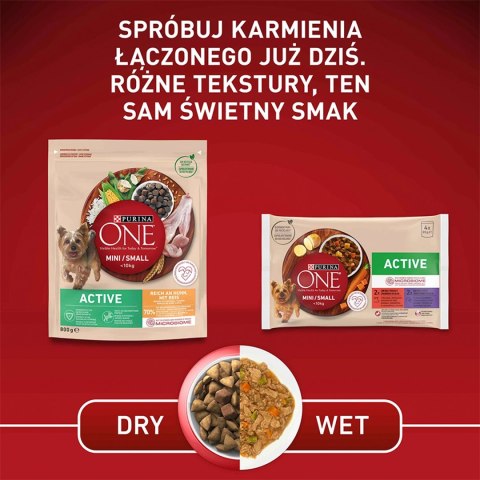 PURINA ONE Mini Active Kurczak, ryż - sucha karma dla psa - 800g