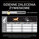 Purina Pro Plan Adult Light Optiweight Sterilised Kurczak I Ryż 14kg