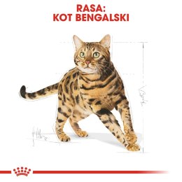 ROYAL CANIN Bengal Adult 10kg
