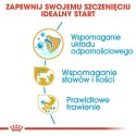 ROYAL CANIN Dachshund Puppy 1,5kg