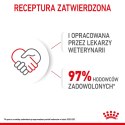 ROYAL CANIN Mini Puppy 12x85g