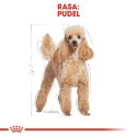 ROYAL CANIN Poodle Adult 1,5kg