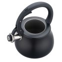CZAJNIK STALOWY NA GAZ 2.8L INDUKCJA CZARNY MATOWY KLAUSBERG KB-7918