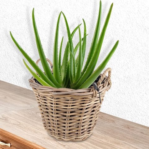 Osłona na doniczkę osłonka rattanowa doniczka 37.5x32cm KUBU 569555