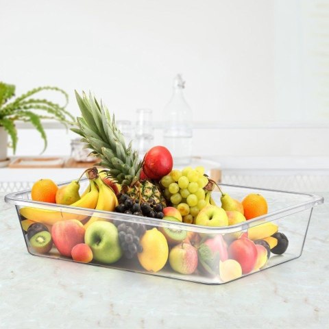 POJEMNIK ORGANIZER DO LODÓWKI 40.5X29X8CM 7L ORION 121624