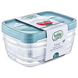 Pojemniki plastikowe na żywność z pokrywką 2L 3 sztuki HOBBY LIFE 124018
