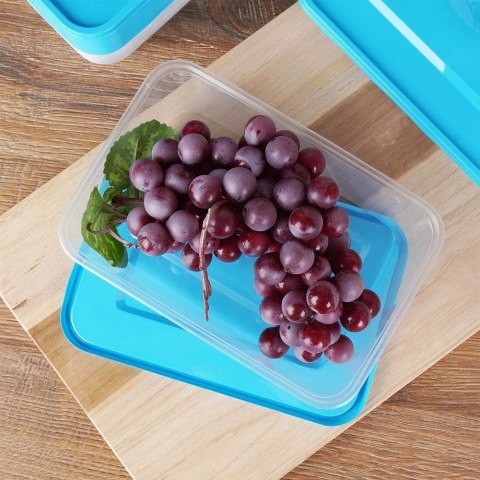 Pojemniki plastikowe na żywność z pokrywką 600 ml komplet 10-ele VILDE 259275