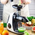 SOKOWIRÓWKA WOLNOOBROTOWA 150W DO OWOCÓW I WARZYW COLD PRESS KLAUSBERG KB-7864