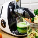 SOKOWIRÓWKA WOLNOOBROTOWA 150W DO OWOCÓW I WARZYW COLD PRESS KLAUSBERG KB-7864