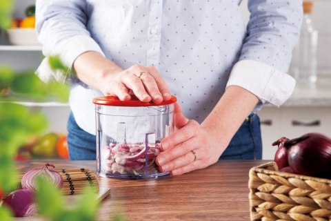 SZATKOWNICA / ROZDRABNIACZ DO WARZYW 300W 600ml BERLINGER HAUS BURGUNDY BH-9380