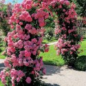 Pergola ogrodowa metalowa 145x235cm VILDE 339398