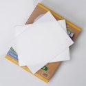 Chusteczki listki do czyszczenia WC rozpuszczalne zapachowe 10 sztuk ULTRA CLEAN 779100