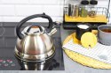Czajnik stalowy z gwizdkiem 2.5L indukcja gaz tradycyjny srebrny BRUNBESTE BB-2272