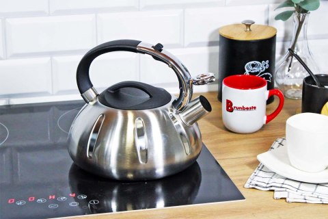 Czajnik stalowy z gwizdkiem duży 3L ze żłobieniami indukcja BRUNBESTE BB-2432