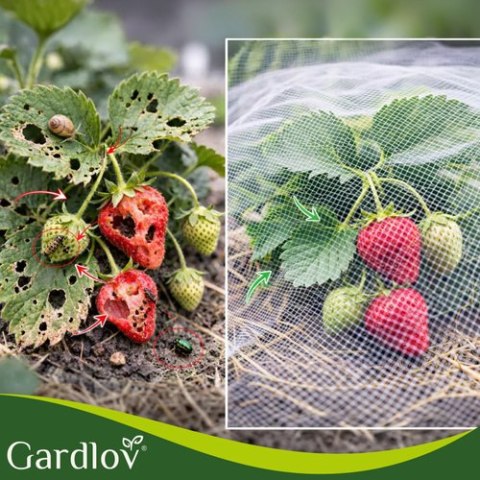 Siatka ochronna na grządkę 3x6m Gardlov