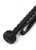 The Obedience Cane