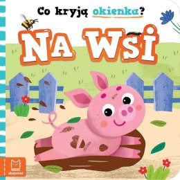 CO KRYJĄ OKIENKA NA WSI
