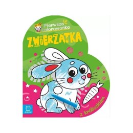 Pierwsza kolor. z króliczkiem AKSJOMAT