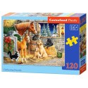 Puzzle 120el. gathering friend CASTOR