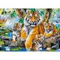 Puzzle 120el. tigers by stream CASTOR
