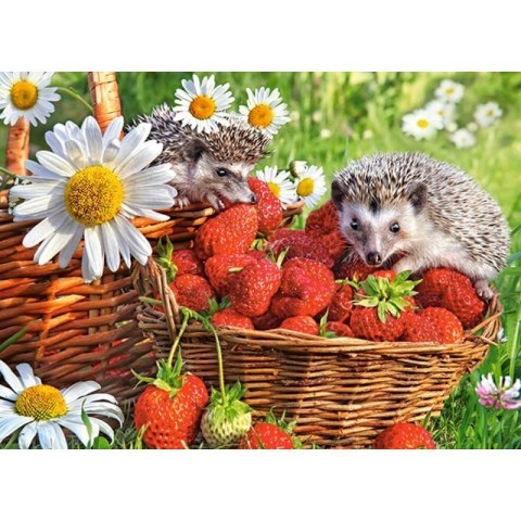 Puzzle 200 strawberry dessert CASTOR