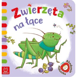 Zwierzęta na łące AKSJOMAT