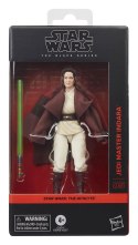 Hasbro Star Wars Black Series The Acolyte Jedi Master Indara
