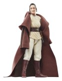 Hasbro Star Wars Black Series The Acolyte Jedi Master Indara