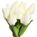 Bukiet 12 TULIPANÓW W PĘCZKU Z RAFIĄ 32 cm biały