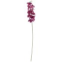 STORCZYK ORCHIDEA GAŁĄZKA 9 KWIATÓW 105 CM GŁĘBOKA CZERWIEŃ