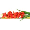 OSTRÓŻKA KWIAT SZTUCZNY do wazonu pomarańczowa 82 cm