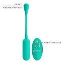PRETTY LOVE - LECHIES Dream chaser 5, Green, Wireless remote control 12 vibration functions Memory function