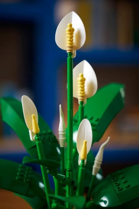 11504 - LEGO The Botanical Collection - Skrzydłokwiat