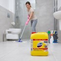 Domestos Płyn Do WC Citrus Fresh Żółty 5L