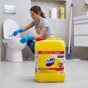 Domestos Płyn Do WC Citrus Fresh Żółty 5L