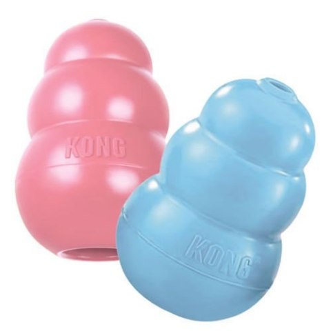 KONG Company Puppy M