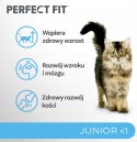 IttenFit Junior Kurczak 7 kg - pełnoporcjowa sucha karma dla kociąt